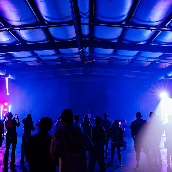 The crowd at Lionheart